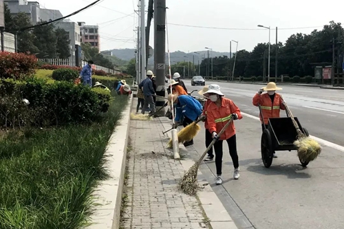 愛國衛(wèi)生月 我們在行動(圖2)