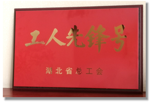 股份公司磷銨分廠磷酸三班喜獲湖北省“工人先鋒號”榮譽(yù)稱號